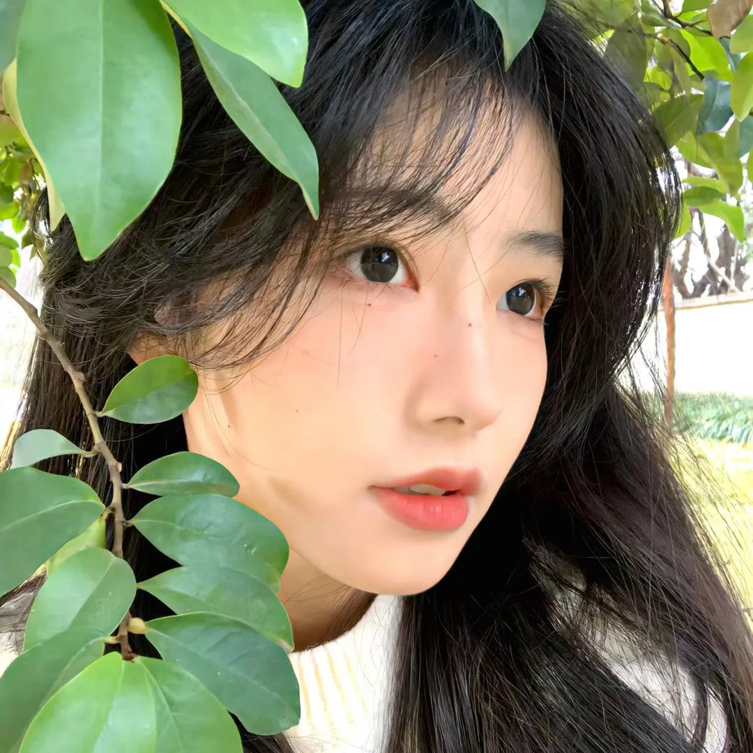失败者 封面
